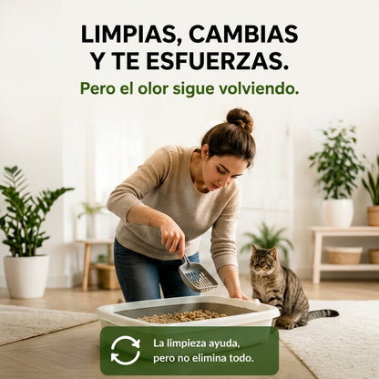 FeliGreen Elimina el mal olor de tu Arenero